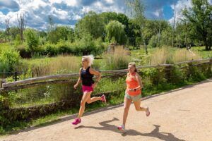 Eerste editie van Safari Run