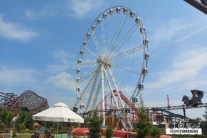 Bamboo Bay en Wonder Wheel