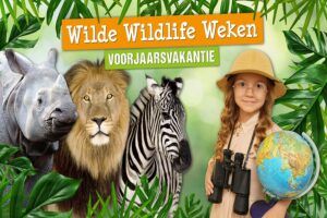 Wilde Wildlife Weken