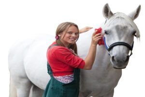 Plopsaland De Panne neemt voorgoed afscheid van het paard Amika