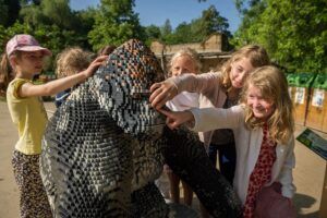 Trek op Brick Safari en zoek de geblokte dieren in ZOO Planckendael