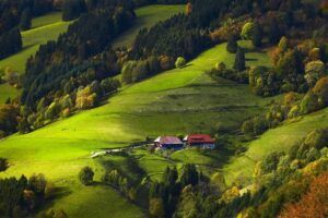 Herfst-tip voor gezinnen