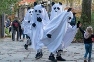 Dieren in Pairi Daiza genieten van Halloweenverrijkingen