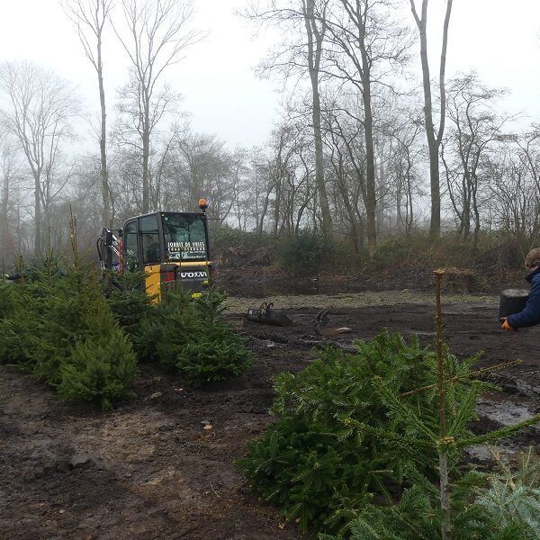 AquaZoo zamelt kerstbomen in.