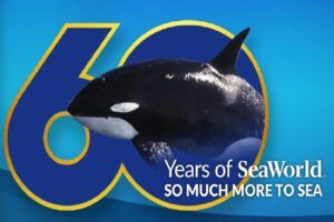 SeaWorld Orlando onthult plannen