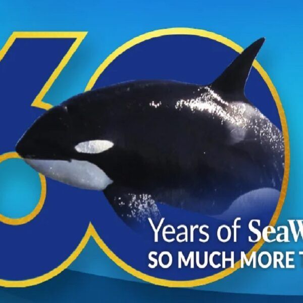SeaWorld Orlando onthult plannen