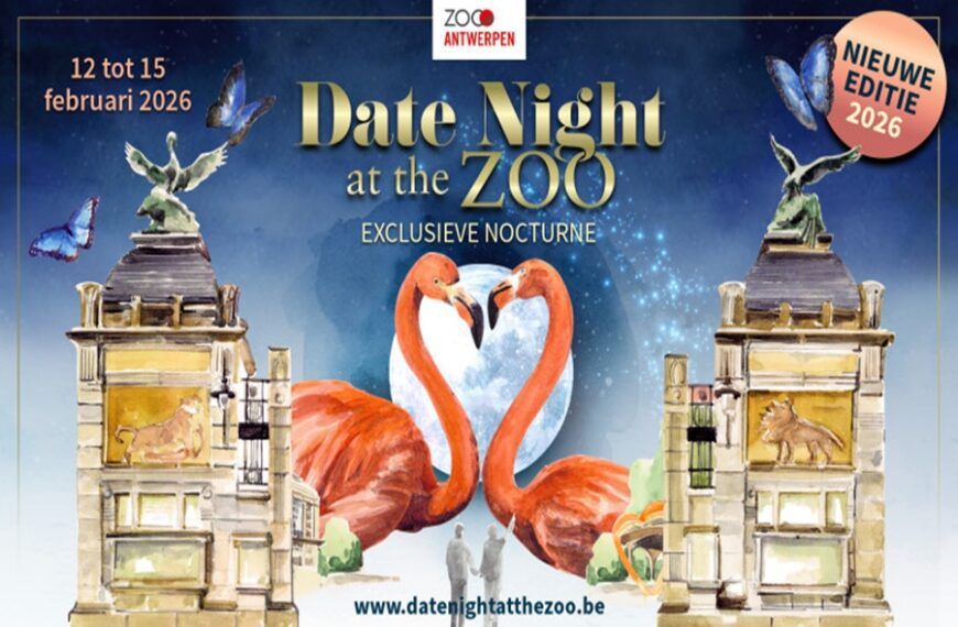 Vieren dieren Valentijn?